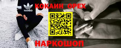 a pvp Кингисепп