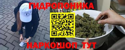 a pvp Кимры