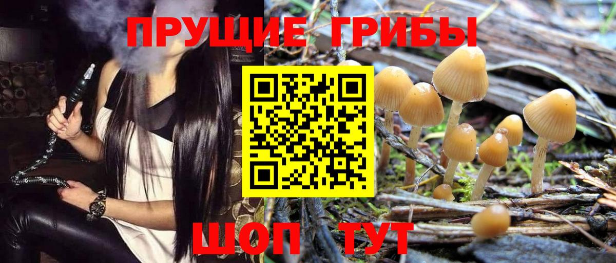 Псилоцибиновые грибы мухоморы Кузнецк